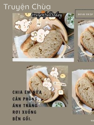 Chia Em Nửa Căn Phòng, Ánh Trăng Rơi Xuống Bên Gối